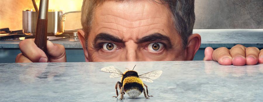 homem vs abelha netflix junho 2022